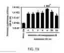 Fig. 19 - Methods and materials for increasing viral vector infectivity