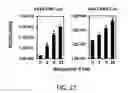Fig. 23 - Methods and materials for increasing viral vector infectivity