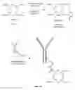Fig. 02 - One-step labeling of antibodies to high specific activity with actinium-225