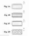 Fig. 02 - Osteogenic and angiogenic implant material