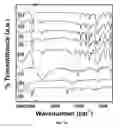 Fig. 02 - Porous polymer scaffold useful for tissue engineering in stem cell transplantation