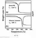 Fig. 05 - Porous polymer scaffold useful for tissue engineering in stem cell transplantation