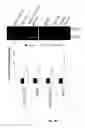 Fig. 16 - Porous polymer scaffold useful for tissue engineering in stem cell transplantation