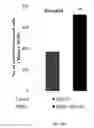 Fig. 24 - Porous polymer scaffold useful for tissue engineering in stem cell transplantation