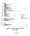 Fig. 25 - Porous polymer scaffold useful for tissue engineering in stem cell transplantation
