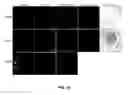 Fig. 31 - Porous polymer scaffold useful for tissue engineering in stem cell transplantation
