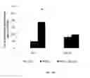 Fig. 32 - Porous polymer scaffold useful for tissue engineering in stem cell transplantation