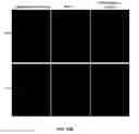 Fig. 46 - Porous polymer scaffold useful for tissue engineering in stem cell transplantation