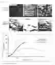 Fig. 03 - ARTIFICIAL BIOMEMBRANE USING COCOON AND METHOD FOR MANUFACTURING SAME
