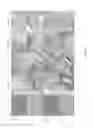 Fig. 04 - Human liver scaffolds