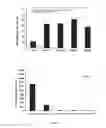 Fig. 05 - Human liver scaffolds