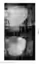 Fig. 12 - Human liver scaffolds