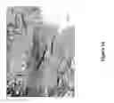 Fig. 16 - Cell bandage