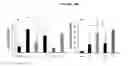 Fig. 03 - DERIVATION OF FIBROCHONDROCYTES FROM PROGENITOR CELLS