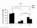 Fig. 08 - DERIVATION OF FIBROCHONDROCYTES FROM PROGENITOR CELLS