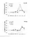 Fig. 10 - DERIVATION OF FIBROCHONDROCYTES FROM PROGENITOR CELLS