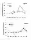 Fig. 12 - DERIVATION OF FIBROCHONDROCYTES FROM PROGENITOR CELLS