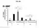 Fig. 17 - DERIVATION OF FIBROCHONDROCYTES FROM PROGENITOR CELLS