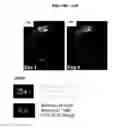 Fig. 20 - DERIVATION OF FIBROCHONDROCYTES FROM PROGENITOR CELLS