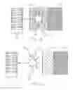 Fig. 03 - Delivery of hydrophobic active agent particles