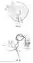 Fig. 04 - MASSAGING LACTATION ASSISTIVE DEVICE