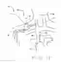 Fig. 04 - Methods to increase the overall diameter of donating veins and arteries
