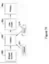 Fig. 20 - Multi-vector sensing in cardiac devices with signal combinations