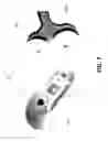Fig. 08 - Sensory input through non-invasive brain stimulation