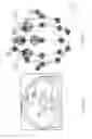 Fig. 04 - ENHANCED SPATIAL SUMMATION FOR DEEP-BRAIN TRANSCRANIAL MAGNETIC STIMULATION