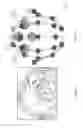 Fig. 05 - ENHANCED SPATIAL SUMMATION FOR DEEP-BRAIN TRANSCRANIAL MAGNETIC STIMULATION