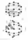 Fig. 07 - ENHANCED SPATIAL SUMMATION FOR DEEP-BRAIN TRANSCRANIAL MAGNETIC STIMULATION