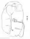 Fig. 17 - Immersive, flux-guided, micro-coil apparatus and method