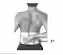 Fig. 01 - Phototherapy device with pain location input