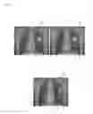 Fig. 04 - Beam irradiation target confirmation device