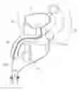 Fig. 01 - SYSTEM TO PRODUCE ANATOMICAL REPRODUCIBILITY AND DETECT MOTION DURING A MEDICAL TREATMENT AND METHODS OF USE