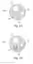 Fig. 06 - SYSTEM TO PRODUCE ANATOMICAL REPRODUCIBILITY AND DETECT MOTION DURING A MEDICAL TREATMENT AND METHODS OF USE