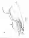 Fig. 06 - Snow Sled Leg Apparatus And Method Of Use Thereof