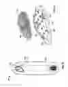 Fig. 16 - ADJUSTABLE MOUNTING MEMBERS FOR SKATEBOARDS AND RELATED METHODS OF USE