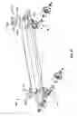 Fig. 25 - ADJUSTABLE MOUNTING MEMBERS FOR SKATEBOARDS AND RELATED METHODS OF USE