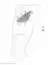 Fig. 10 - Water ride flotation device dispenser