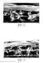 Fig. 04 - WATER SEPARATION COMPOSITE MEMBRANE