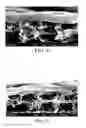 Fig. 04 - Water separation composite membrane