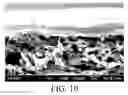 Fig. 08 - Water separation composite membrane