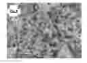 Fig. 05 - Metal-organic frameworks