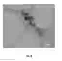 Fig. 10 - Metal-organic frameworks