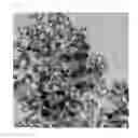 Fig. 04 - Preparation method of particle size-controlled, chromium oxide particles or composite particles of iron oxide-chromium alloy and chromium oxide
