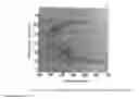 Fig. 02 - Surface functionalisation method