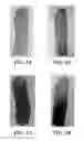 Fig. 02 - METHOD AND RELEASE COATING COMPOSITION FOR PROVIDING CLEANING ASSISTANCE