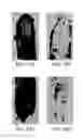 Fig. 06 - METHOD AND RELEASE COATING COMPOSITION FOR PROVIDING CLEANING ASSISTANCE
