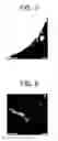 Fig. 06 - Metal composite powder and method for producing same